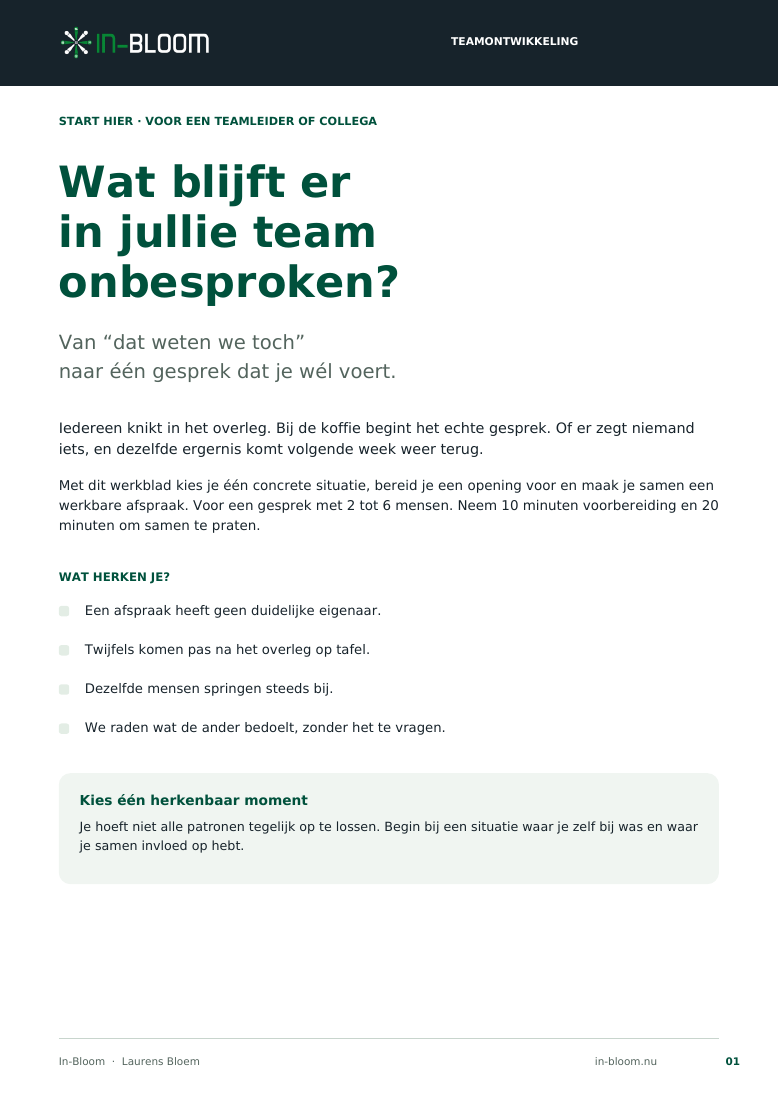 Voorblad Wat blijft er in jullie team onbesproken: werkblad voor een eerlijk teamgesprek