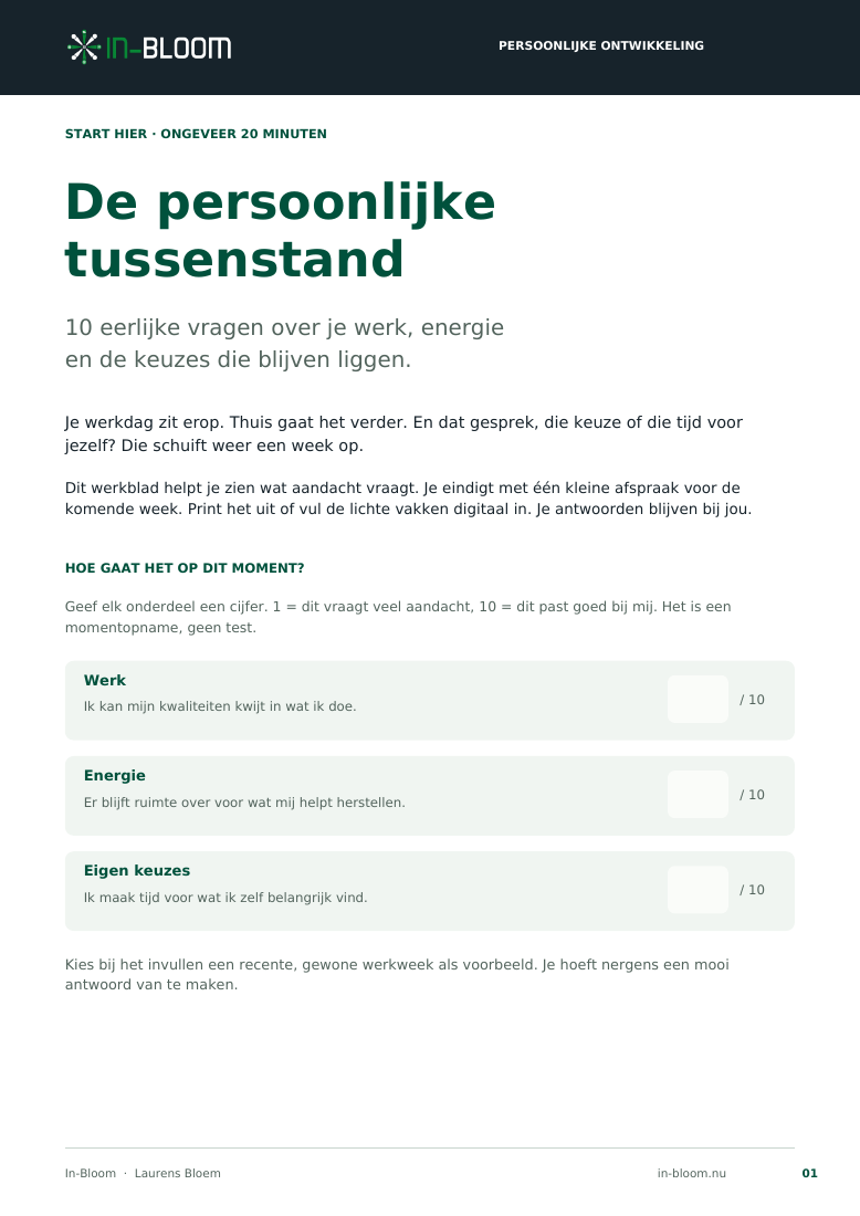 Voorblad De persoonlijke tussenstand: 10 vragen over werk, energie en keuzes
